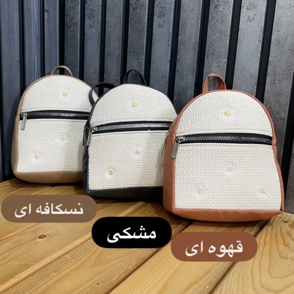 مینی کوله کنفی-کد۱۷۸